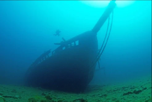 Walk On Charters Tobermory