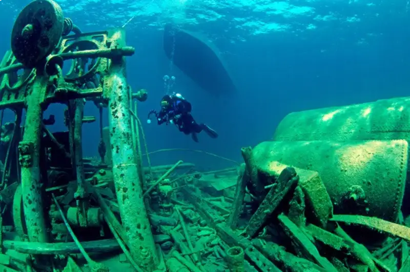 Night Dives Tobermory